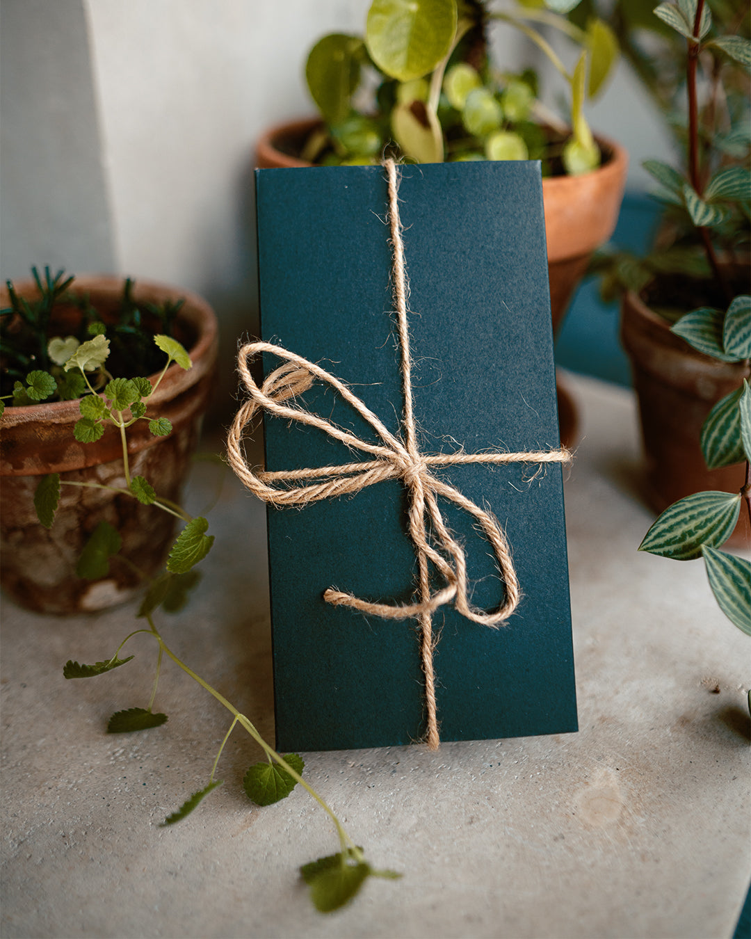 Coven Crate (Eco-Friendly // Vegan)