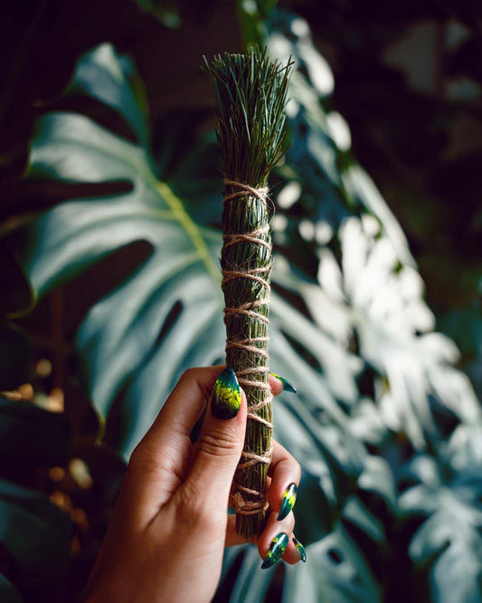 Pine Smoke Cleansing Bundle (Wild Harvested)